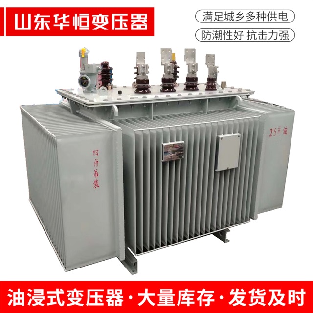 S13-10000/35定州定州定州电力变压器厂家