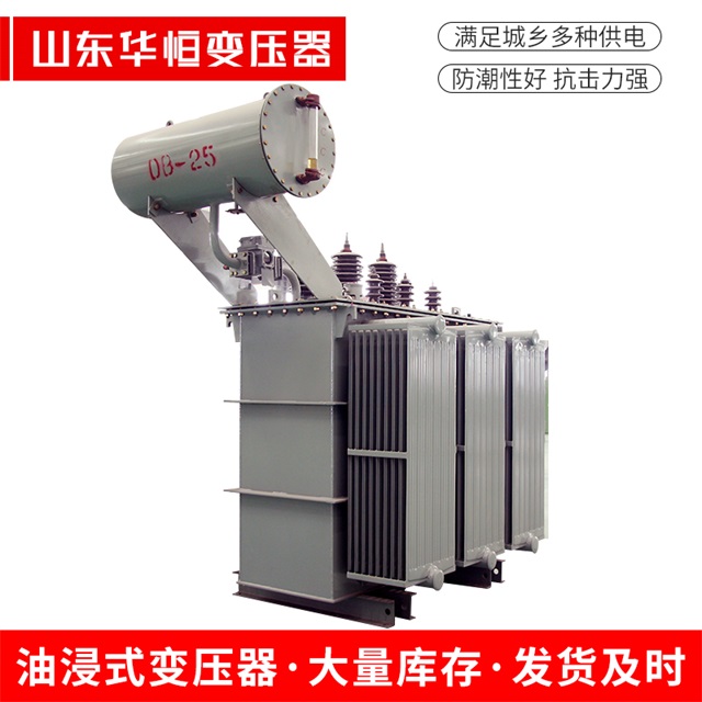 S11-10000/35定州定州定州电力变压器厂家