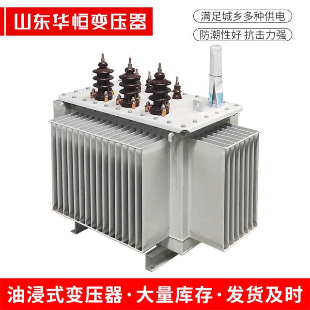 S11-10000/35定州定州定州电力变压器价格